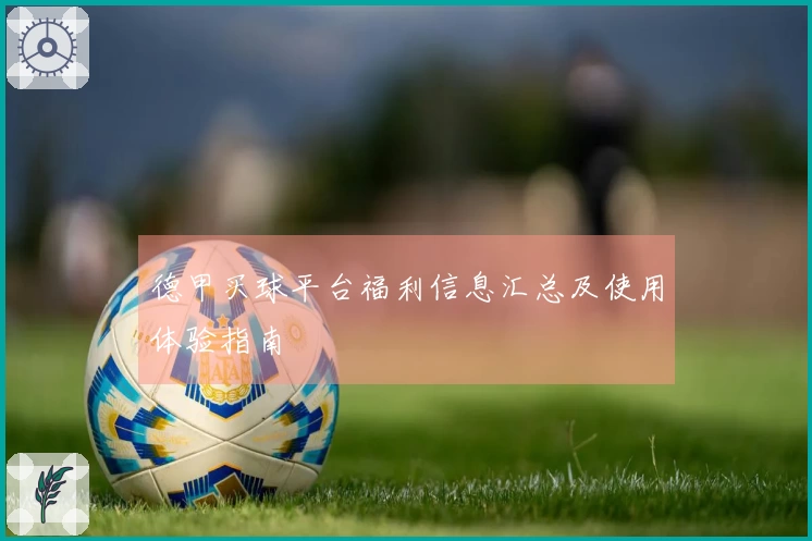 德甲买球平台福利信息汇总及使用体验指南