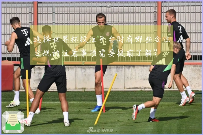 选择世界杯投注平台时有哪些合法合规的注意事项需要提前了解？