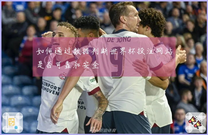 如何通过数据判断世界杯投注网站是否可靠和安全