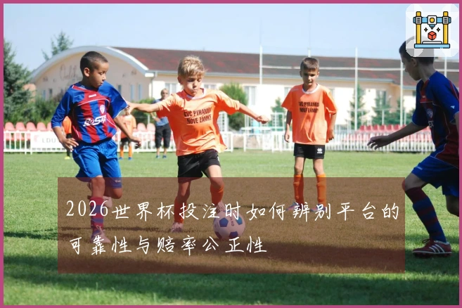 2026世界杯投注时如何辨别平台的可靠性与赔率公正性