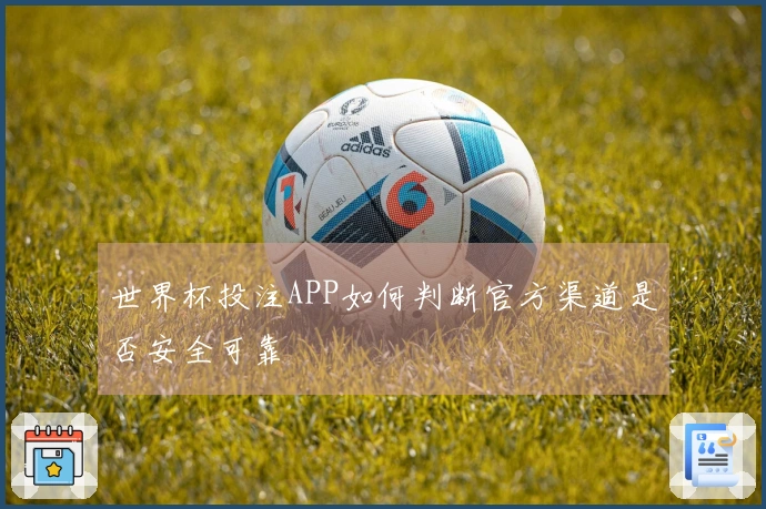 世界杯投注APP如何判断官方渠道是否安全可靠
