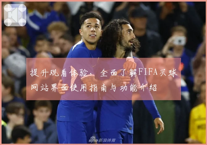 提升观看体验，全面了解FIFA买球网站界面使用指南与功能介绍
