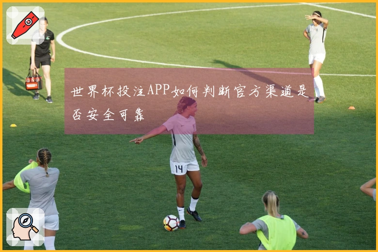 世界杯投注APP如何判断官方渠道是否安全可靠