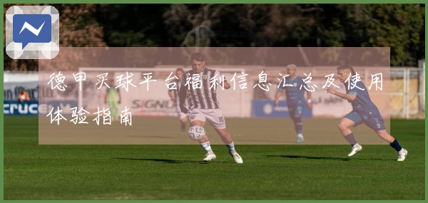 德甲买球平台福利信息汇总及使用体验指南