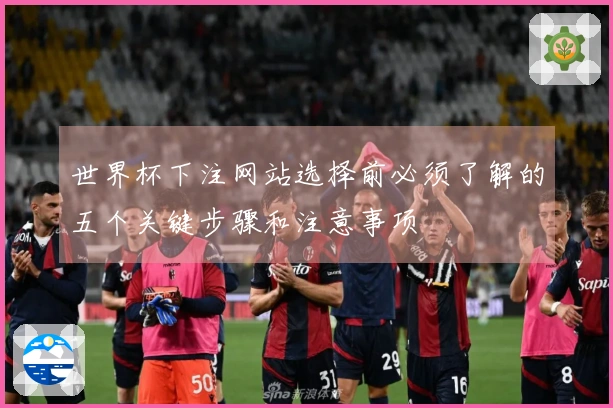 世界杯下注网站选择前必须了解的五个关键步骤和注意事项