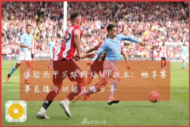 体验西甲买球网站APP版本:畅享赛事直播与功能攻略分享