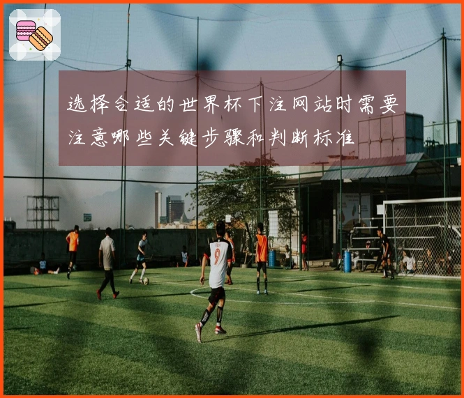 选择合适的世界杯下注网站时需要注意哪些关键步骤和判断标准