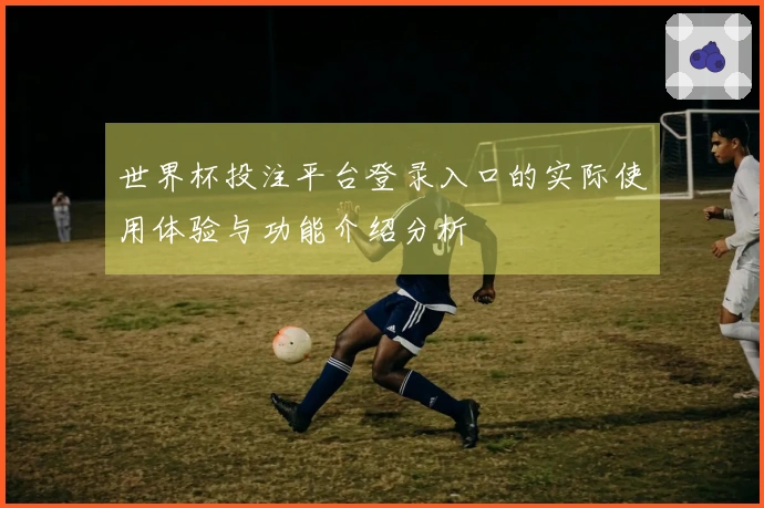 世界杯投注平台登录入口的实际使用体验与功能介绍分析