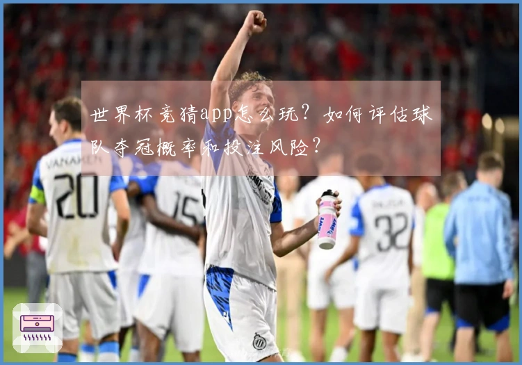 世界杯竞猜app怎么玩？如何评估球队夺冠概率和投注风险？